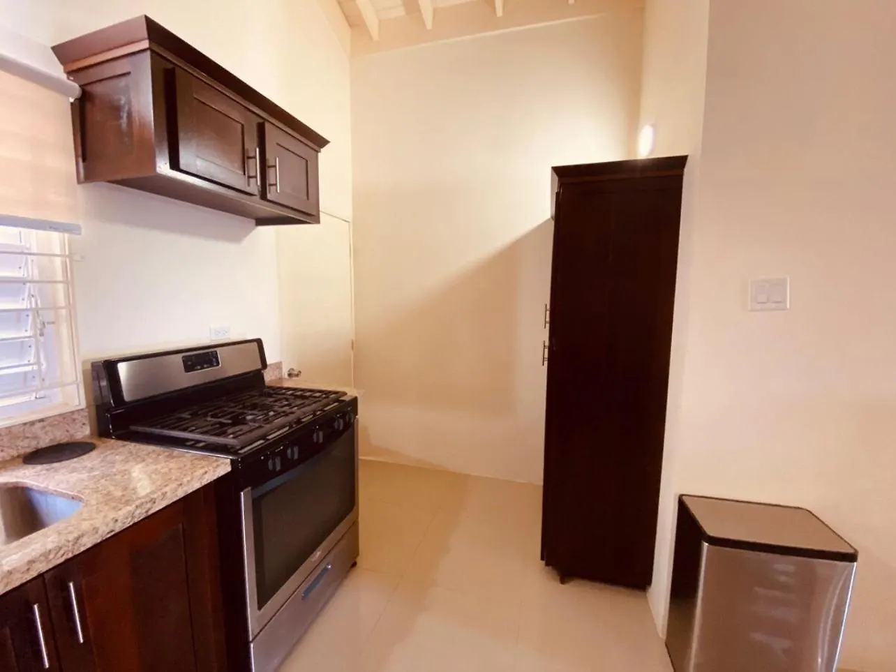 Villa Jhadano 3Br Pool & Gym Shuttle Gated Florence Hall Jamaica